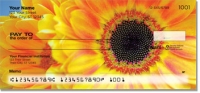 Gerber Daisy Checks