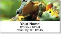 Frog Address Labels