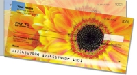 Click on Gerber Daisy For More Details