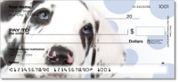 Click on Great Dane Pup Checks For More Details