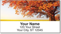 Autumn Brilliance Address Labels