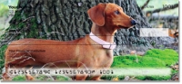 Click on Dachshund Checks For More Details