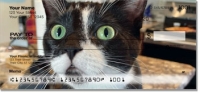 Click on Pet Cat Checks For More Details