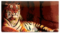 Click on Zoo Animal Checkbook Cover For More Details