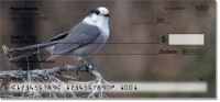 Gray Jay Bird Checks