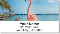 Click on Pink Flamingo Address Labels For More Details