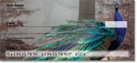 Colorful Peacock Personal Checks