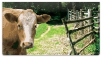Click on Farming Checkbook Cover For More Details