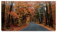 Click on Fall Drive Checkbook Cover For More Details