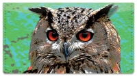 Click on Eyes of an Owl Checkbook Cover For More Details