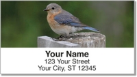 Bluebird Address Labels