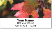 Click on Autumn Leaves Address Labels For More Details