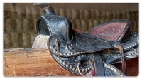 Click on Dude Ranch Checkbook Cover For More Details