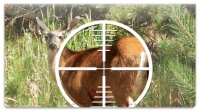 Click on Deer Hunting Checkbook Cover For More Details