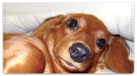 Click on Dachshund Checkbook Cover For More Details