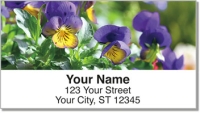 Click on Vivid Violet Address Labels For More Details