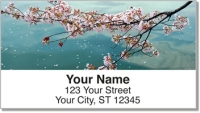 Click on Cherry Blossom Address Labels For More Details