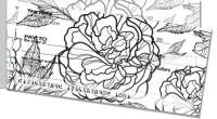 Click on Big Floral Side Tear For More Details