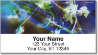 Bacca Tree Address Labels