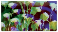 Click on Bacca Floral Checkbook Cover For More Details