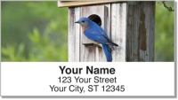 Bluebird House Address Labels