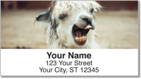 Zoo Animal Address Labels
