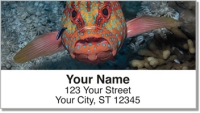 Blue Dot Grouper Address Labels