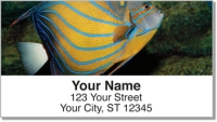 Blue Ring Angelfish Address Labels