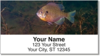 Bluegill Address Labels