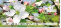 Apple Blossom Checks