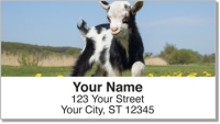 Click on Baby Goat Address Labels For More Details