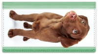 Click on Chocolate Lab Pup Checkbook Cover For More Details