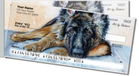 Click on Shahmiri Dogs For More Details