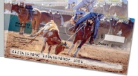 Click on Rodeo Side Tear For More Details