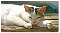 Click on Cat Nap Checkbook Cover For More Details