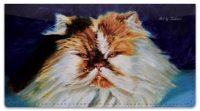 Click on Shahmiri Cats Checkbook Cover For More Details