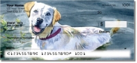 Click on Dog Artwork Checks For More Details