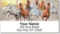 Click on Country Horse Address Labels For More Details