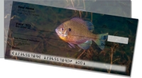 Click on Bluegill Side Tear For More Details