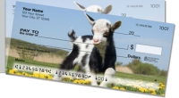 Click on Baby Goat For More Details