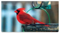 Backyard Bird Checkbook Cover