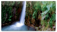 Click on Artistic Waterfall Checkbook Cover For More Details