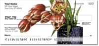 Click on Droopy Tulip Checks For More Details