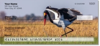 Click on Exotic Bird Checks For More Details