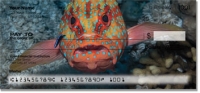 Click on Blue Dot Grouper Checks For More Details