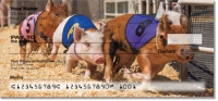 Click on Pig Racing Checks For More Details