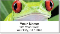 Click on Red-Eyed Frog Address Labels For More Details