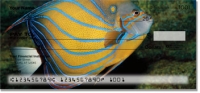 Click on Blue Ring Angelfish Checks For More Details
