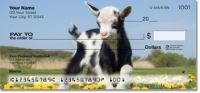 Click on Baby Goat Checks For More Details