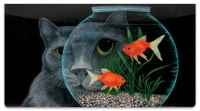 Click on Contemplating Cats 1 Checkbook Cover For More Details